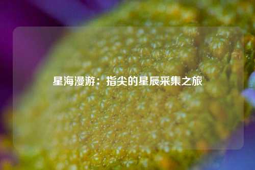 星海漫游：指尖的星辰采集之旅